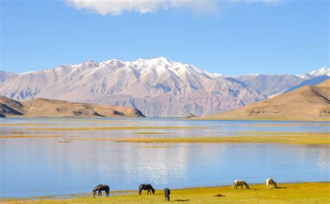 秘境之眼，去西藏阿里地区的攻略-大司部落自驾旅游网
