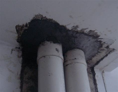 楼上漏水把楼下的墙面渗水怎么办 - 法临说法