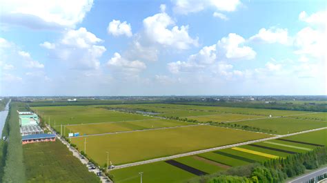 江苏省海安市以“四区”建设为引领 推进现代农业产业园高质量发展