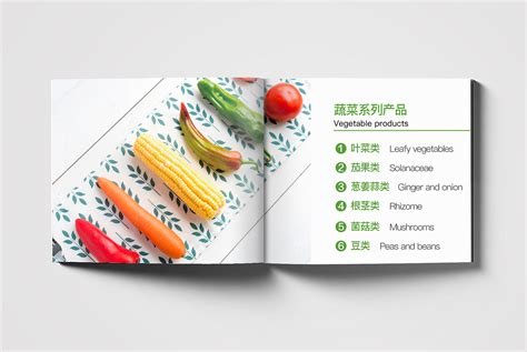 宣传册-蔬菜水果-画册|平面|宣传物料|刘敬良平面设计 - 原创作品 - 站酷 (ZCOOL)