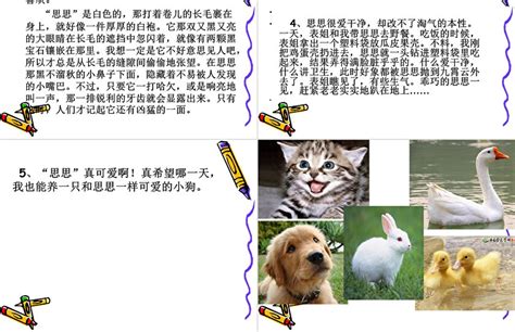 (写动物的作文)写我喜欢的小动物400字作文：小狗_文档之家