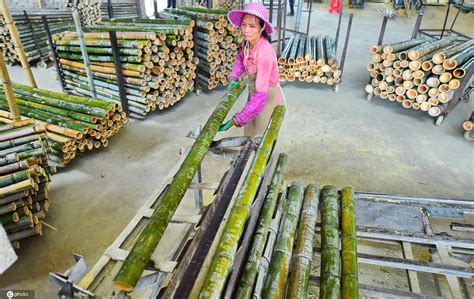 贵州赤水：深耕竹产业 增绿又增收 - 图片新闻 - 网站新闻 - 陇萃源