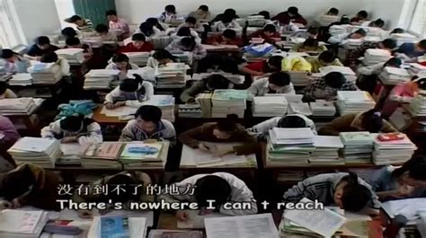 上线人民网！温州3名高三学生拍出一部科学探究纪录片