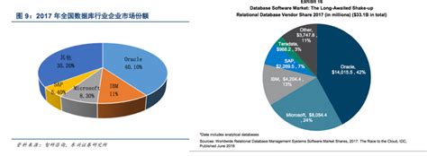 2021年中国数据库行业研究报告|数据库|市场份额_新浪新闻