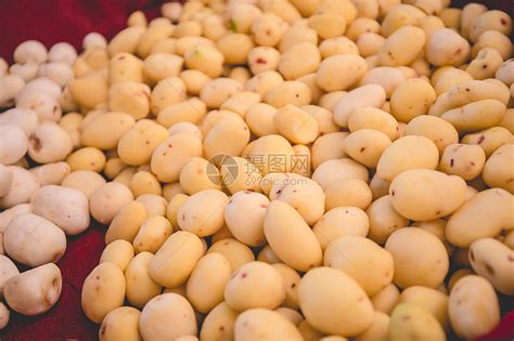 土豆兔子图片