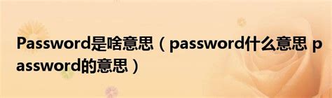 Password是啥意思（password什么意思 password的意思）_风尚网