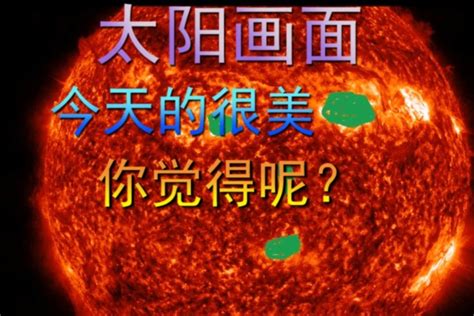 太阳内部到底有没有生命？如果有，那么对太阳或地球都是一大威胁|生命|地球|科学家_新浪新闻