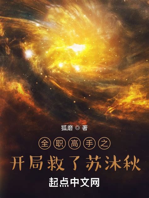 《全职高手之开局救了苏沐秋》小说在线阅读-起点中文网