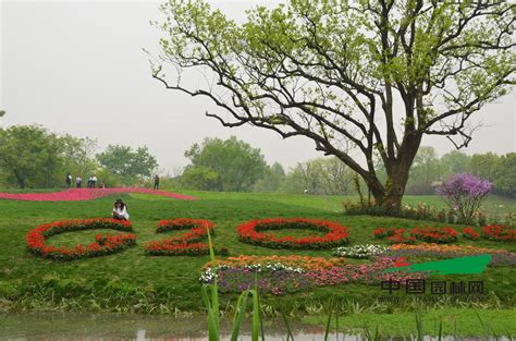 2024西溪国家湿地公园-旅游攻略-门票-地址-问答-游记点评，杭州旅游旅游景点推荐-去哪儿攻略