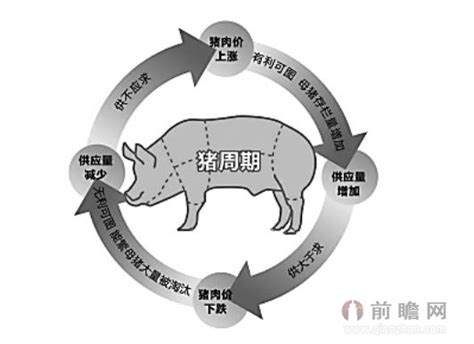 2021年猪价藏着什么秘密？看懂了它，就知道2022年猪价怎么走！农业资讯-农信网