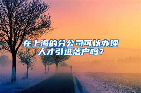 在上海的分公司可以办理人才引进落户吗？_人才引进落户_深圳入户办理网