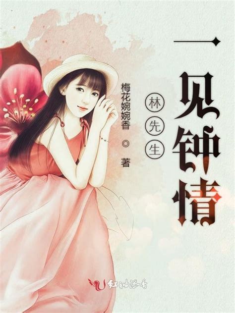 《林先生一见钟情》小说在线阅读-起点中文网