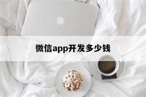 微信app开发多少钱(开发一个微信app难不难) - 杂七乱八 - 源码村资源网