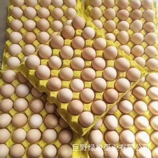 红壳鸡蛋山东养殖场五谷饲养新鲜鸡蛋整箱批发360枚装鲜鸡蛋厂家-阿里巴巴
