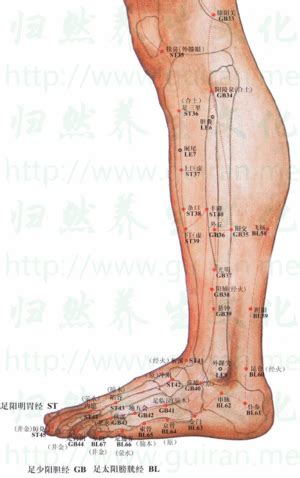承山的准确位置图图片
