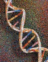 国际千人基因组计划_360百科