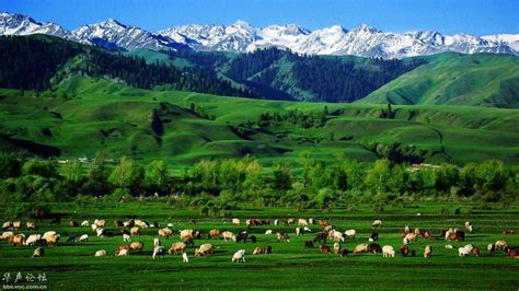 新疆南部地区风沙扩散风险评价及景观格局优化