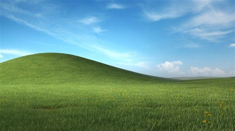 微软Windows XP 蓝天白云绿草地 蒲公英4k风景壁纸3840x2160_4K风景图片高清壁纸_墨鱼部落格