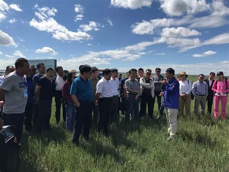 内蒙古促进草牧业发展现场观摩培训班参观呼伦贝尔生态草牧业示范区