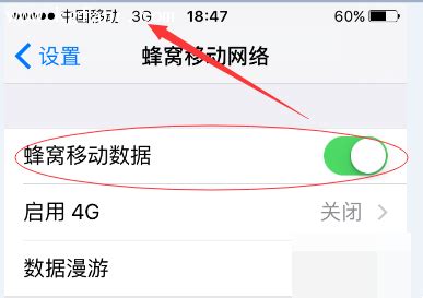 iPhoneXR如何设置4G网络 | 极客32