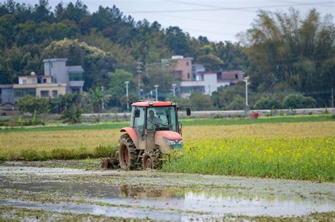 春耕备耕工作全面展开 今年江夏区春播面积达72.2万亩-武汉市农业农村局