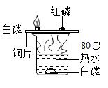 有关如图实验的说法正确的是A．红磷燃烧，产生大量白烟B．向水中白磷