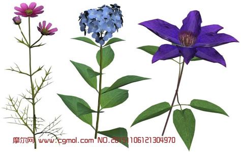 秋天最美的十种花：紫薇花第二，蓝眼菊第一_巴拉排行榜