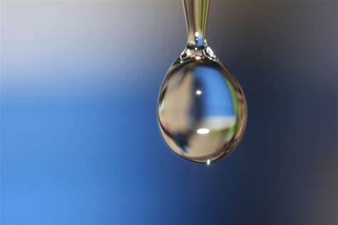 晶莹剔透的水珠素材分享！|水珠|素材_新浪新闻