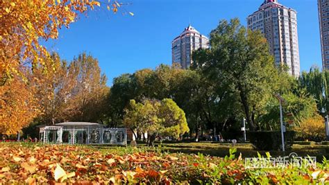 2023黑龙江哈尔滨文化公园旅游攻略 - 门票价格 - 开放时间 - 地址 - 交通_旅泊网