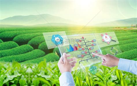 青岛耕云科技有限公司 - 以科技及创新改变中国三农为使命
