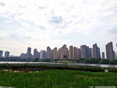 实拍：深圳网友用三年时间记录大沙河变迁_龙华网_百万龙华人的网上家园