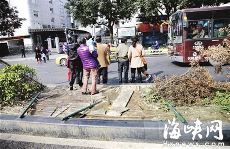 福州六一北路绿化分车带被撕 市民呼吁增植带刺植物 - 社会 - 东南网