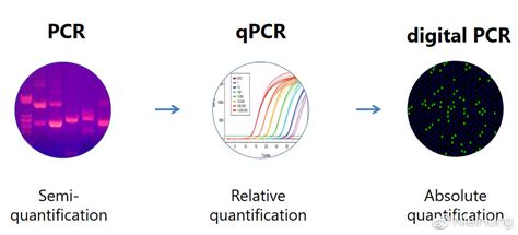 PCR实验方法步骤_360新知
