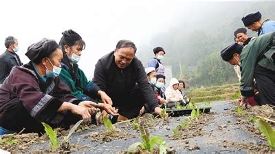 黔南州三都：新型职业农民培训 助力乡村振兴-贵州网