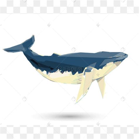 鲸鲨纹身驼背鲸蓝鲸-鲨鱼PNG图片素材下载_图片编号5449130-PNG素材网