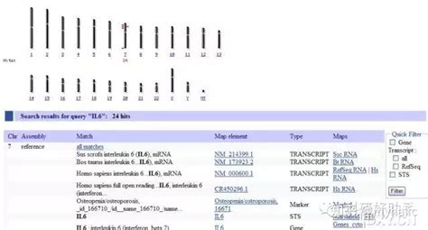 在ncbi的ORF如何导出碱基序列与氨基酸序列对比图？ - 知乎