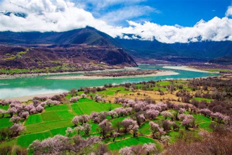 国内最美的春天，三月份的林芝堪称西藏最美的世外桃源_旅游美食季_新浪博客