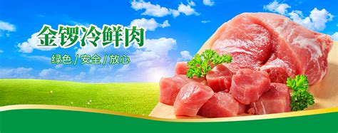 临沂新程金锣肉制品集团有限公司——中国企业500强