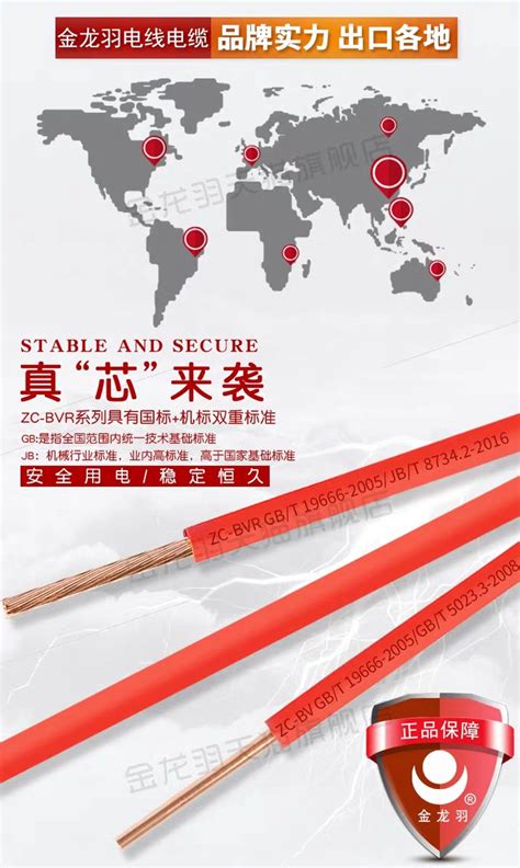 电线电缆直销 BVR-1×2.5 一般用途单芯硬导体无护套电缆-深圳市华南新兴电缆有限公司