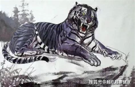 老虎是怎么起源的？_进化