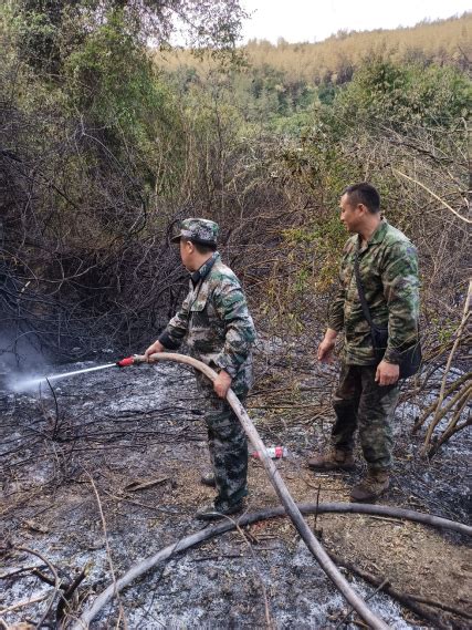 零陵区市场监管局人武部应急队支援珠山森林火灾_工作信息_零陵区市场监督管理局