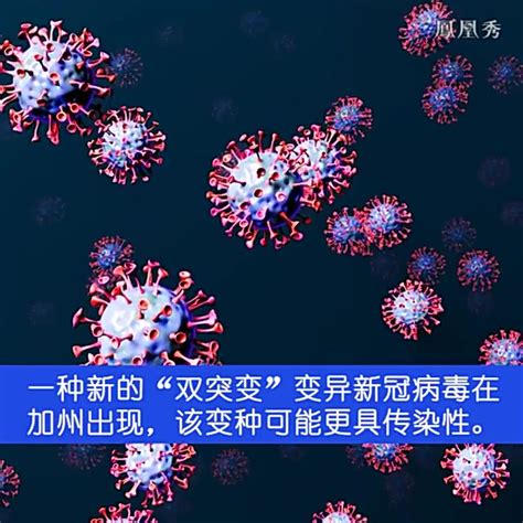 全球新冠病毒感染病例超600万 累计达6003762例_杭州网