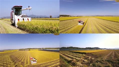 未来农业视频素材下载,高清实拍,视频模版_凌点视频素材网