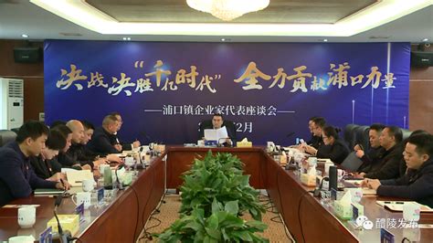 凝聚企业力量：醴陵浦口邀请40余家企业代表共谋发展 - 醴陵新闻网