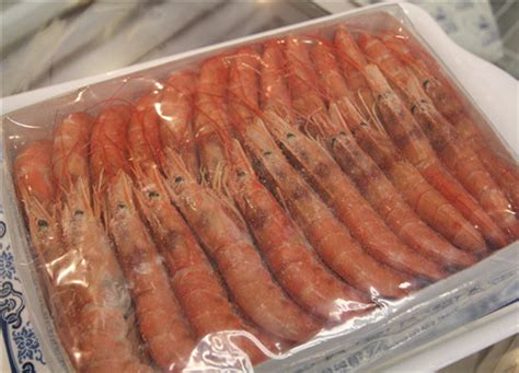 冻红虾,冰冻红虾,红虾(第8页)_大山谷图库