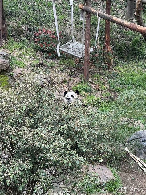 南京红山动物园游玩攻略 - 知乎