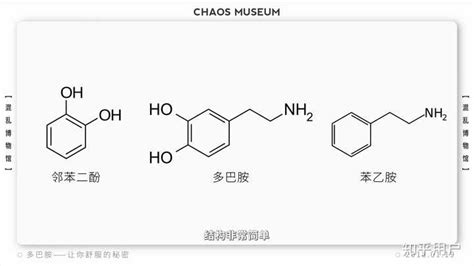 二乙胺| 203-716-3--南京盛庆和化工有限公司