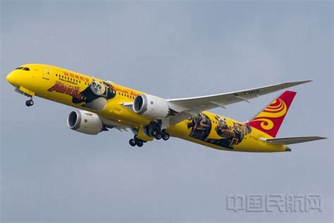 海航第二架“功夫熊猫”涂装飞机正式启航-中国民航网
