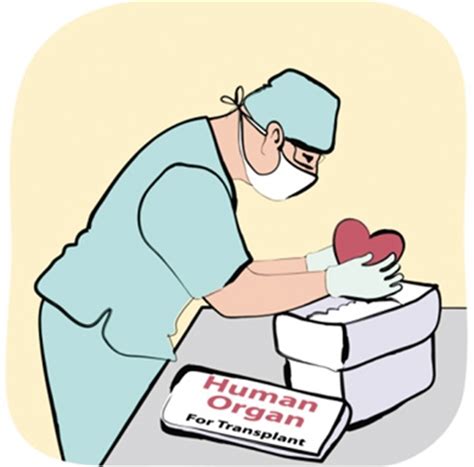 “器官捐献，你怎么看？”_澎湃号·政务_澎湃新闻-The Paper