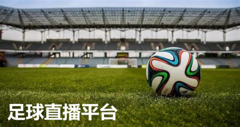 亚洲杯足球预选赛哪里直播(亚洲杯直播：中国VS韩国比赛在线看 体育频道观看地址)